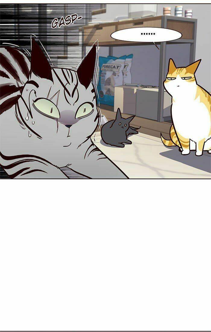 Biến Thân Thành Mèo Chapter 37 - Trang 2