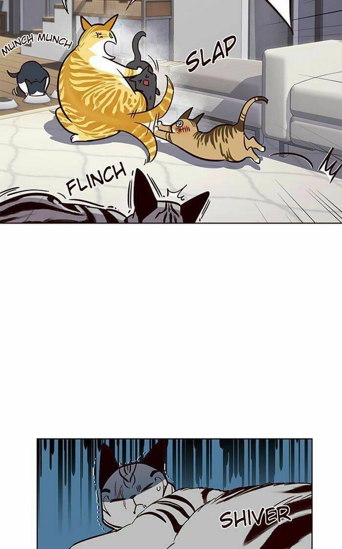 Biến Thân Thành Mèo Chapter 37 - Trang 2