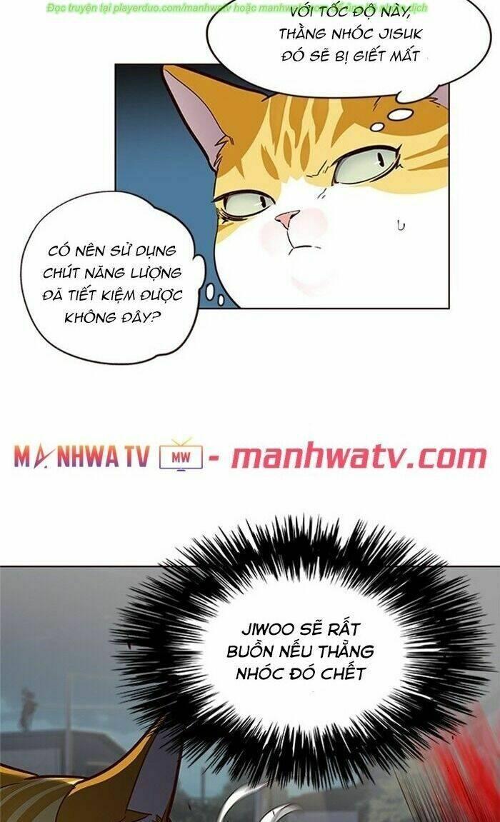 Biến Thân Thành Mèo Chapter 43 - Trang 2