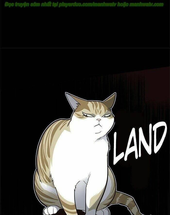 Biến Thân Thành Mèo Chapter 45 - Trang 2