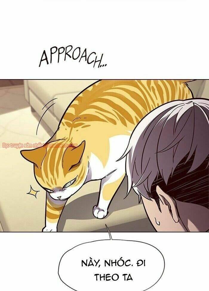 Biến Thân Thành Mèo Chapter 50 - Trang 2