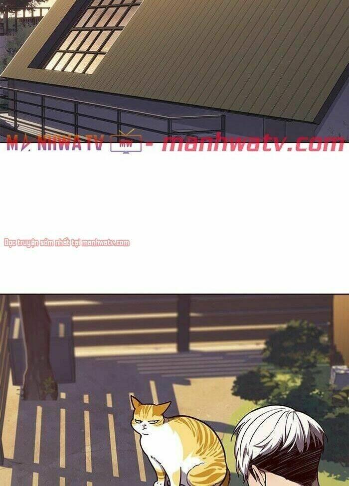 Biến Thân Thành Mèo Chapter 50 - Trang 2