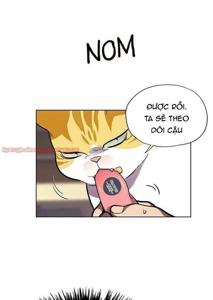 Biến Thân Thành Mèo Chapter 50 - Trang 2