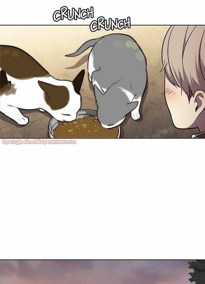 Biến Thân Thành Mèo Chapter 50 - Trang 2