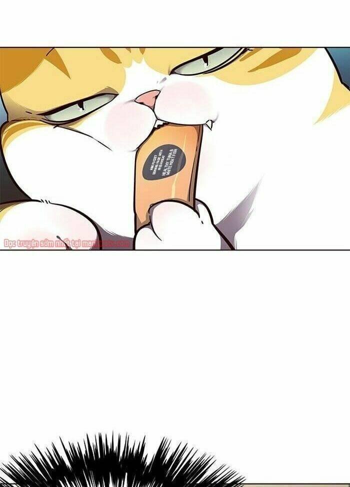 Biến Thân Thành Mèo Chapter 50 - Trang 2