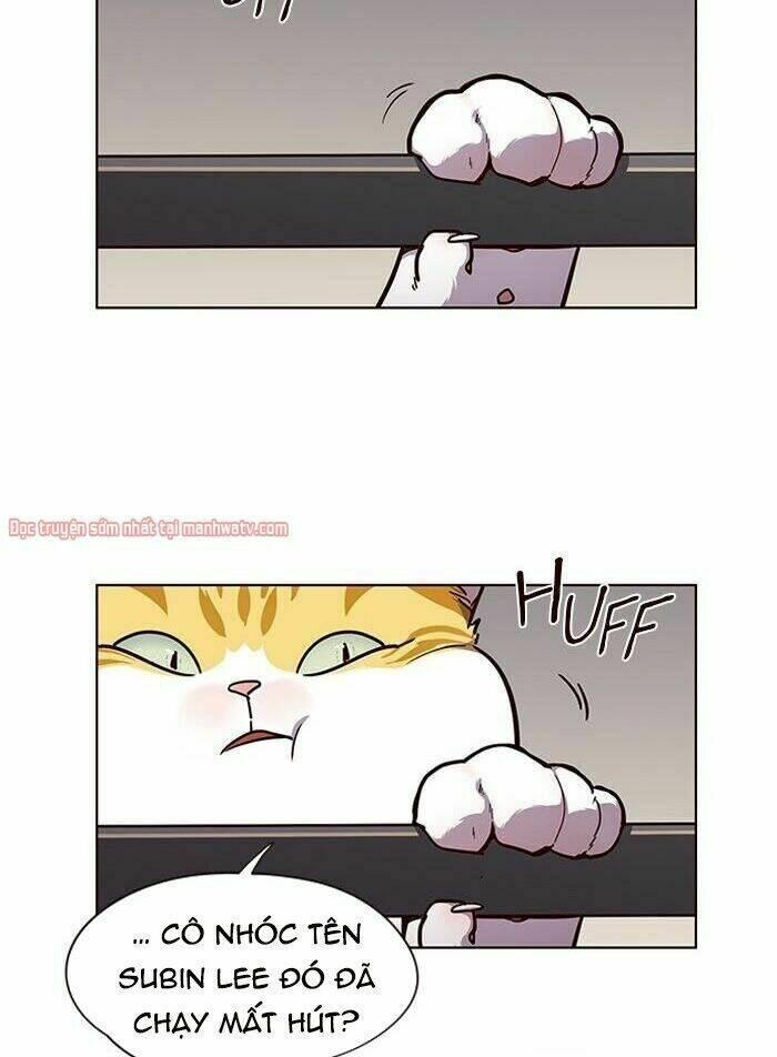 Biến Thân Thành Mèo Chapter 51 - Trang 2