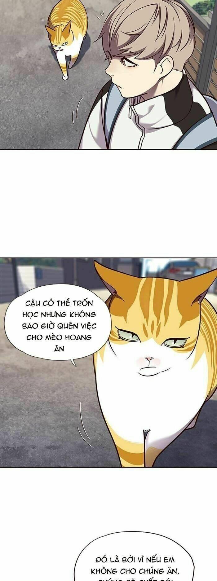 Biến Thân Thành Mèo Chapter 55 - Trang 2