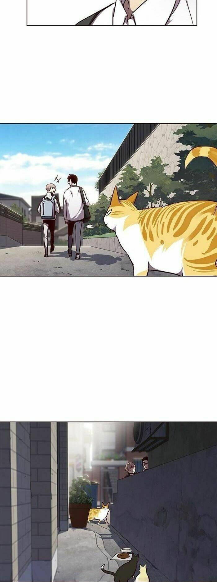 Biến Thân Thành Mèo Chapter 55 - Trang 2