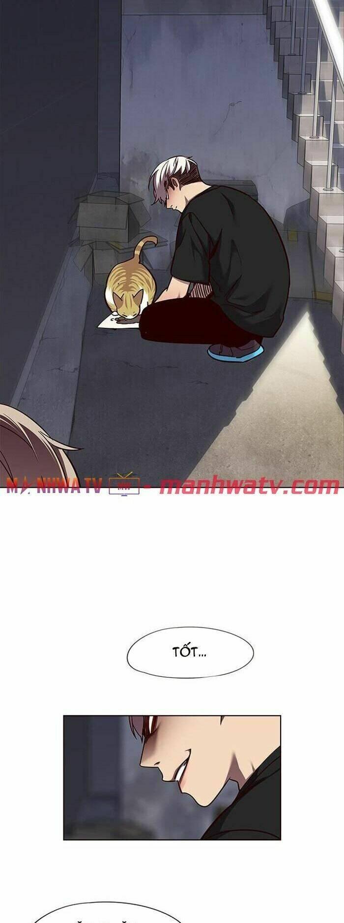 Biến Thân Thành Mèo Chapter 55 - Trang 2