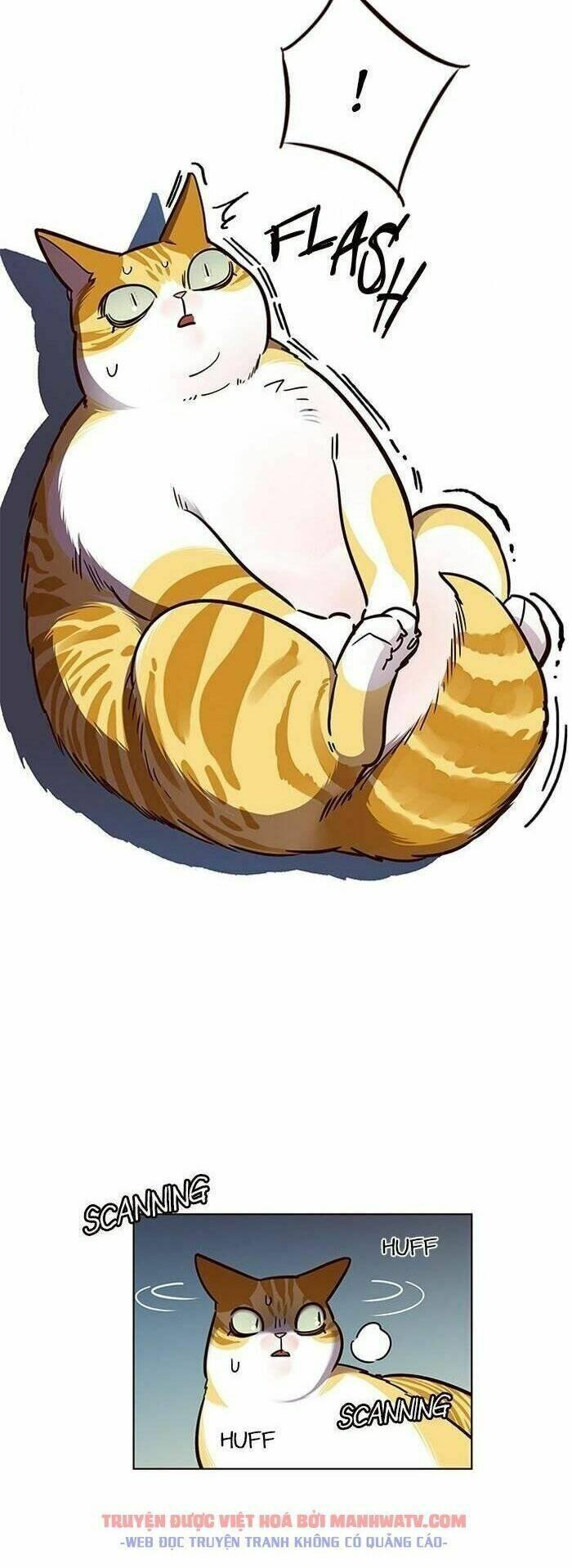 Biến Thân Thành Mèo Chapter 56 - Trang 2