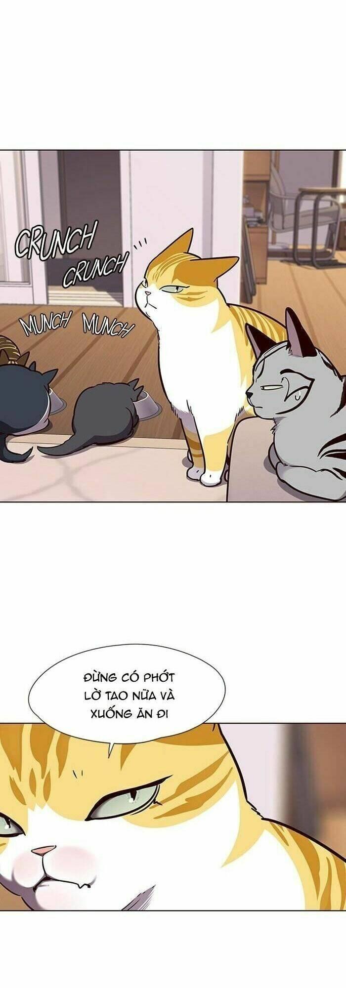 Biến Thân Thành Mèo Chapter 56 - Trang 2