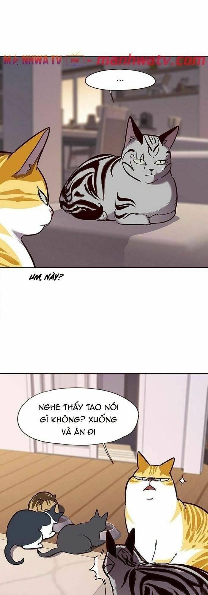 Biến Thân Thành Mèo Chapter 56 - Trang 2