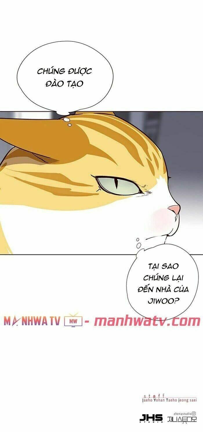 Biến Thân Thành Mèo Chapter 57 - Trang 2