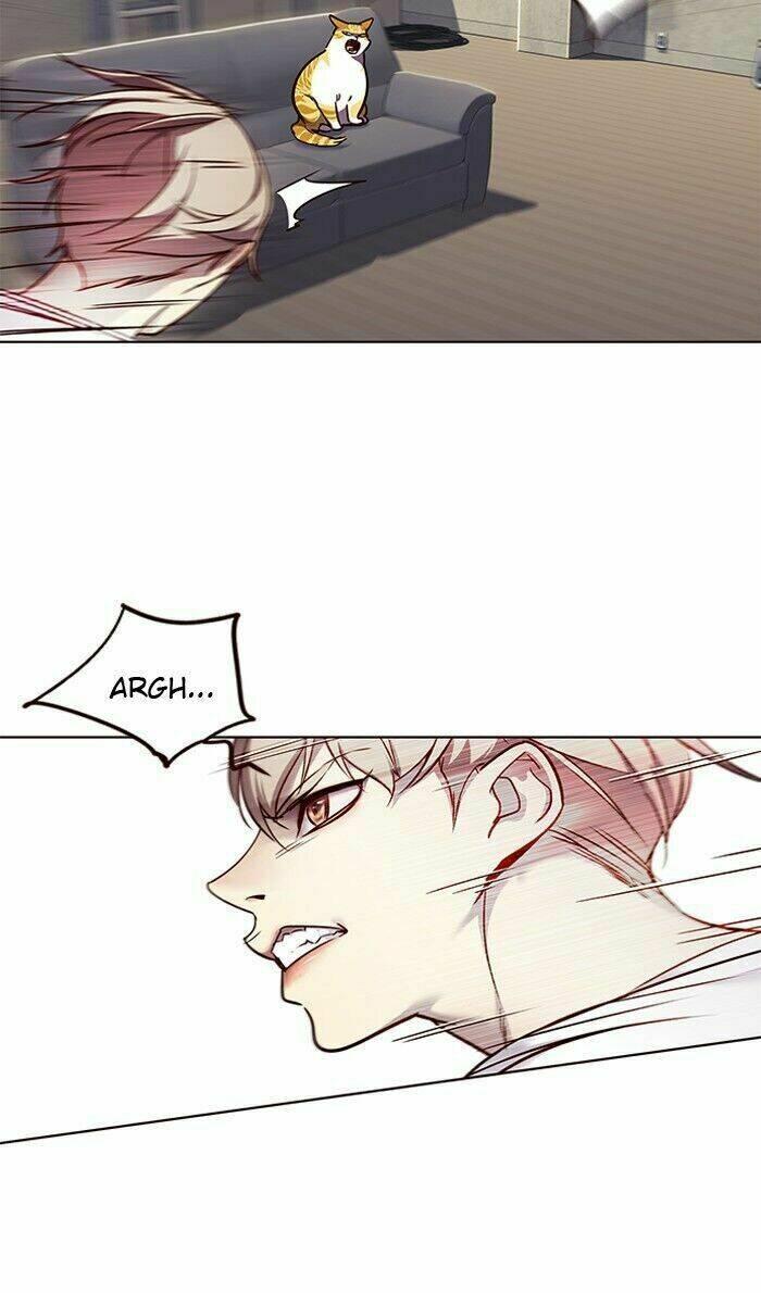 Biến Thân Thành Mèo Chapter 59 - Trang 2