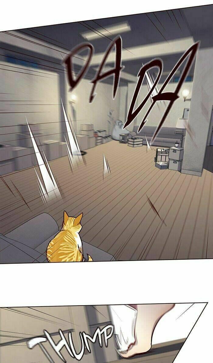 Biến Thân Thành Mèo Chapter 59 - Trang 2