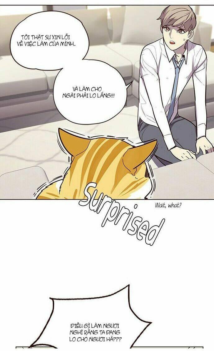Biến Thân Thành Mèo Chapter 6 - Trang 2