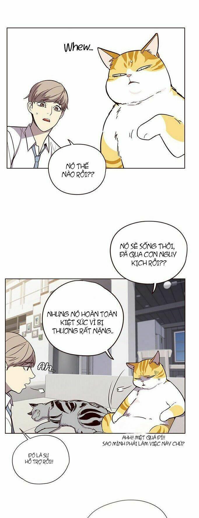 Biến Thân Thành Mèo Chapter 6 - Trang 2