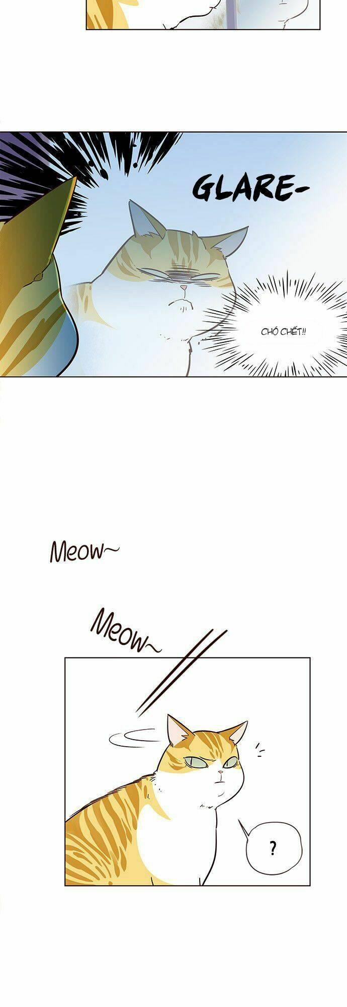 Biến Thân Thành Mèo Chapter 6 - Trang 2