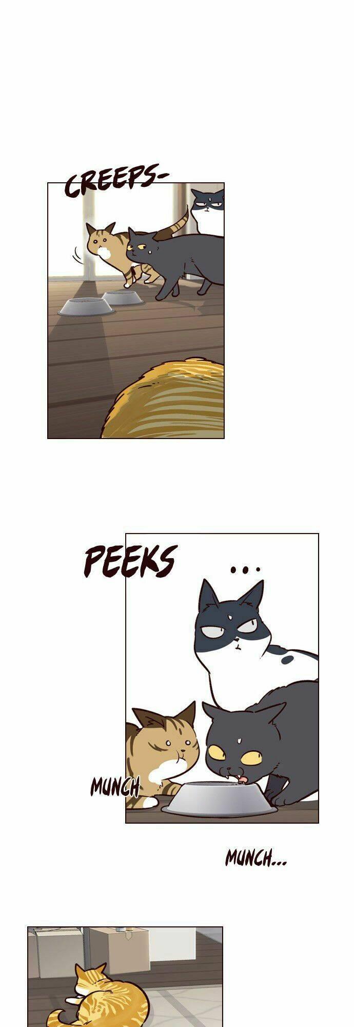 Biến Thân Thành Mèo Chapter 6 - Trang 2