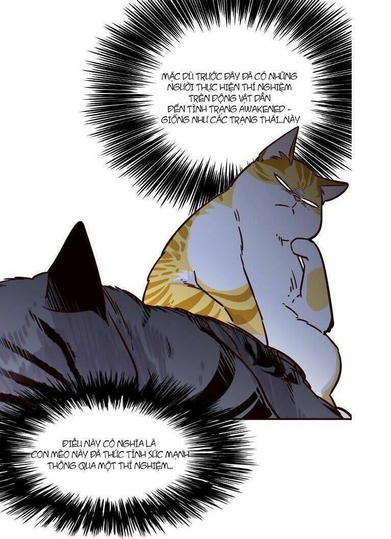 Biến Thân Thành Mèo Chapter 6 - Trang 2