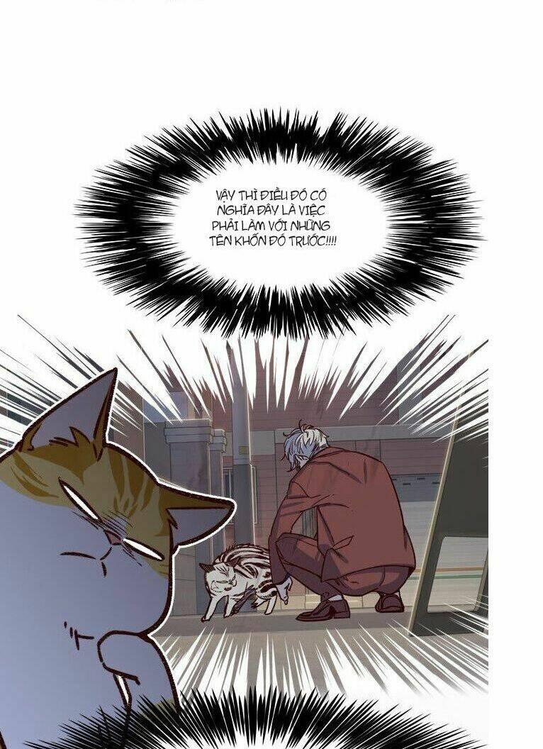 Biến Thân Thành Mèo Chapter 6 - Trang 2