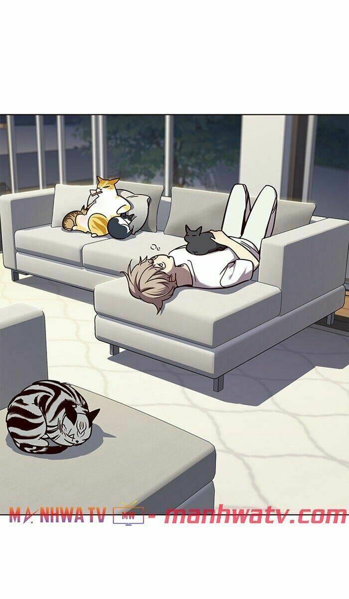 Biến Thân Thành Mèo Chapter 61 - Trang 2