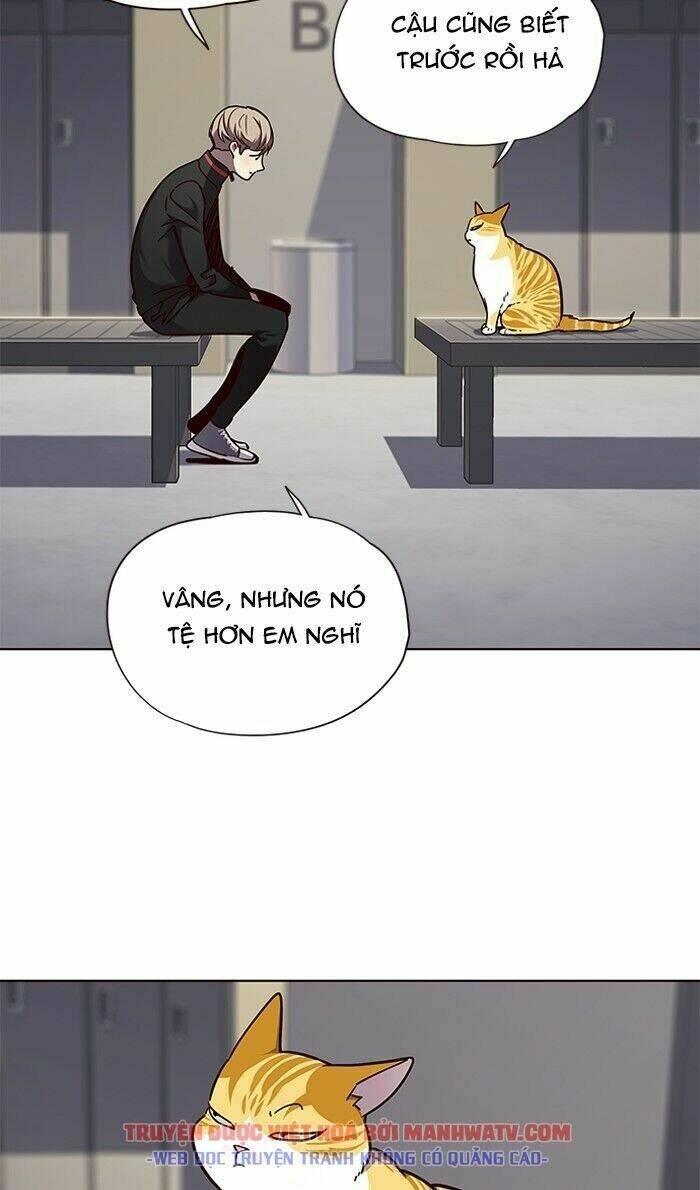 Biến Thân Thành Mèo Chapter 63 - Trang 2