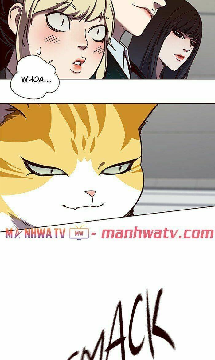 Biến Thân Thành Mèo Chapter 64 - Trang 2