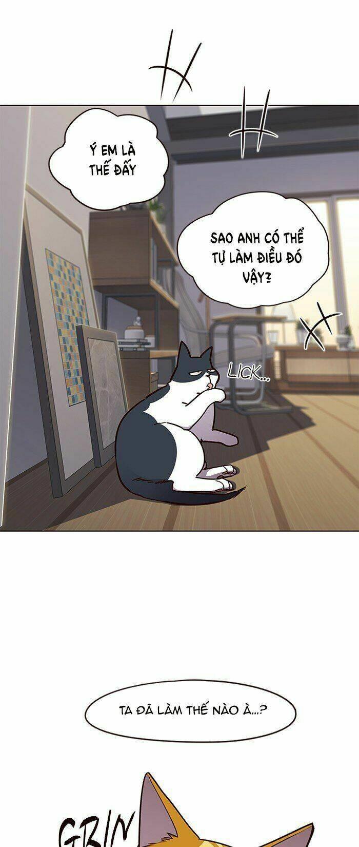 Biến Thân Thành Mèo Chapter 64 - Trang 2