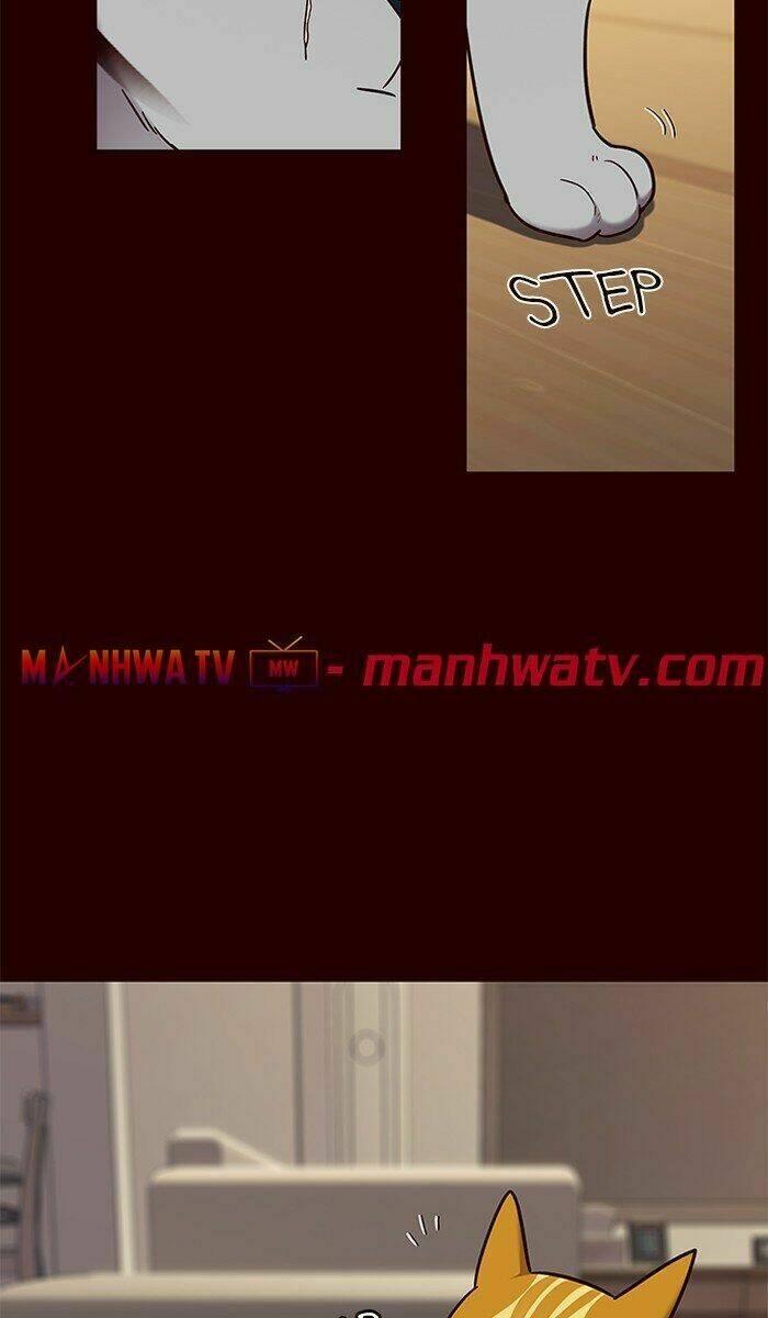 Biến Thân Thành Mèo Chapter 67 - Trang 2