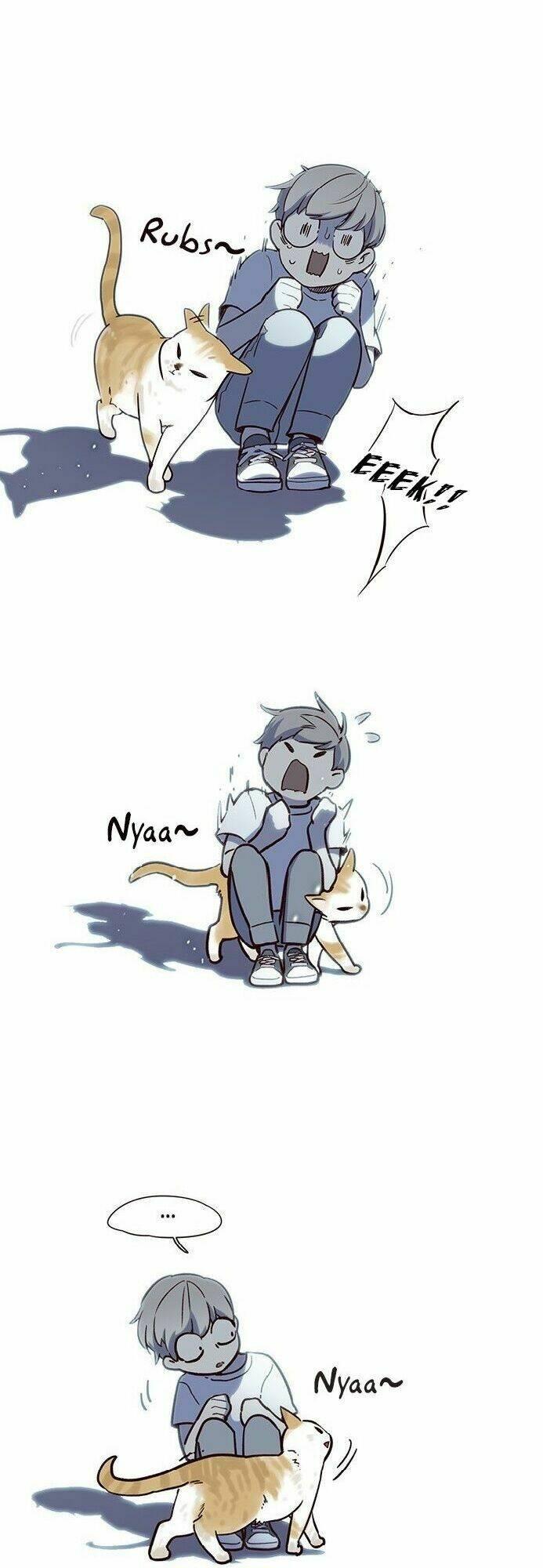 Biến Thân Thành Mèo Chapter 7 - Trang 2