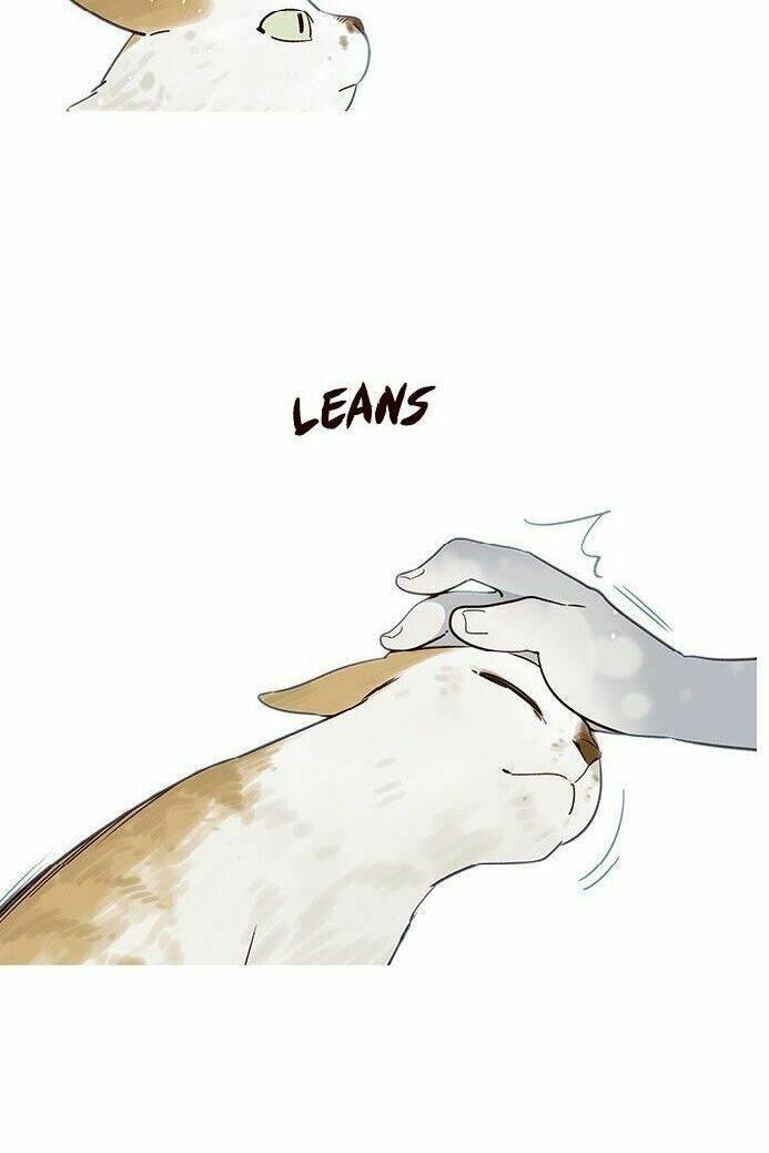 Biến Thân Thành Mèo Chapter 7 - Trang 2