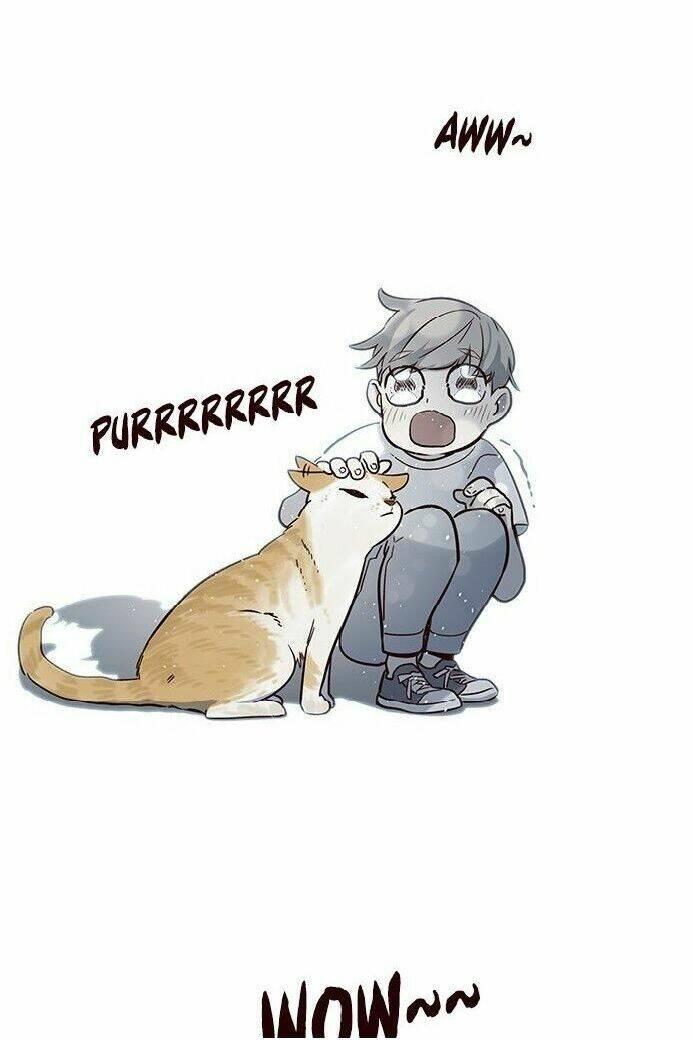 Biến Thân Thành Mèo Chapter 7 - Trang 2