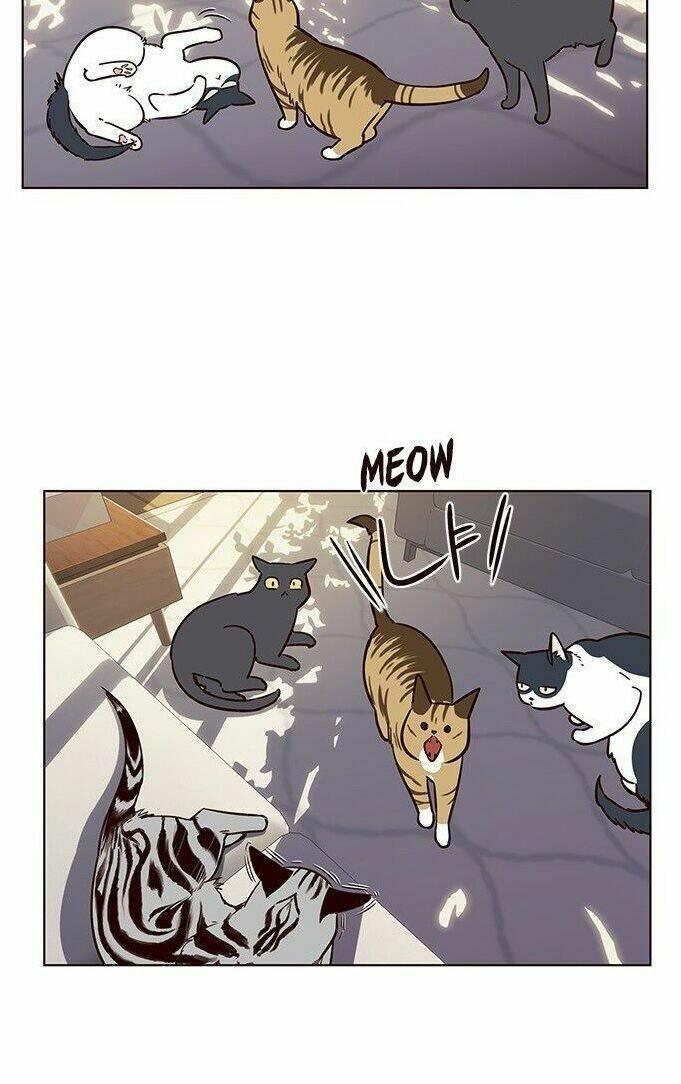 Biến Thân Thành Mèo Chapter 7 - Trang 2