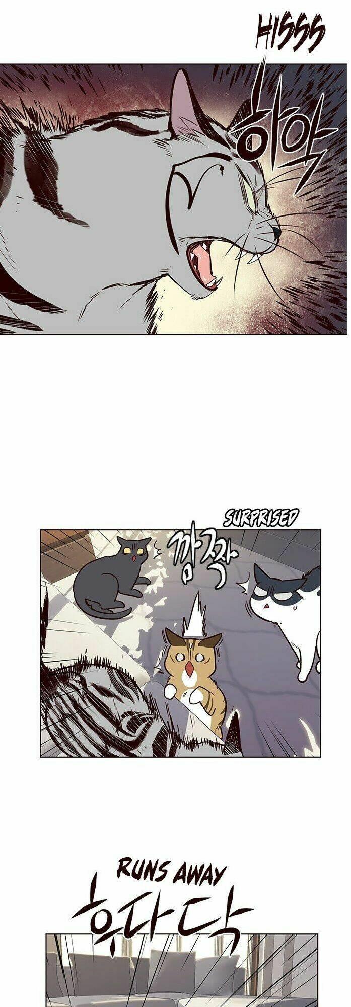 Biến Thân Thành Mèo Chapter 7 - Trang 2