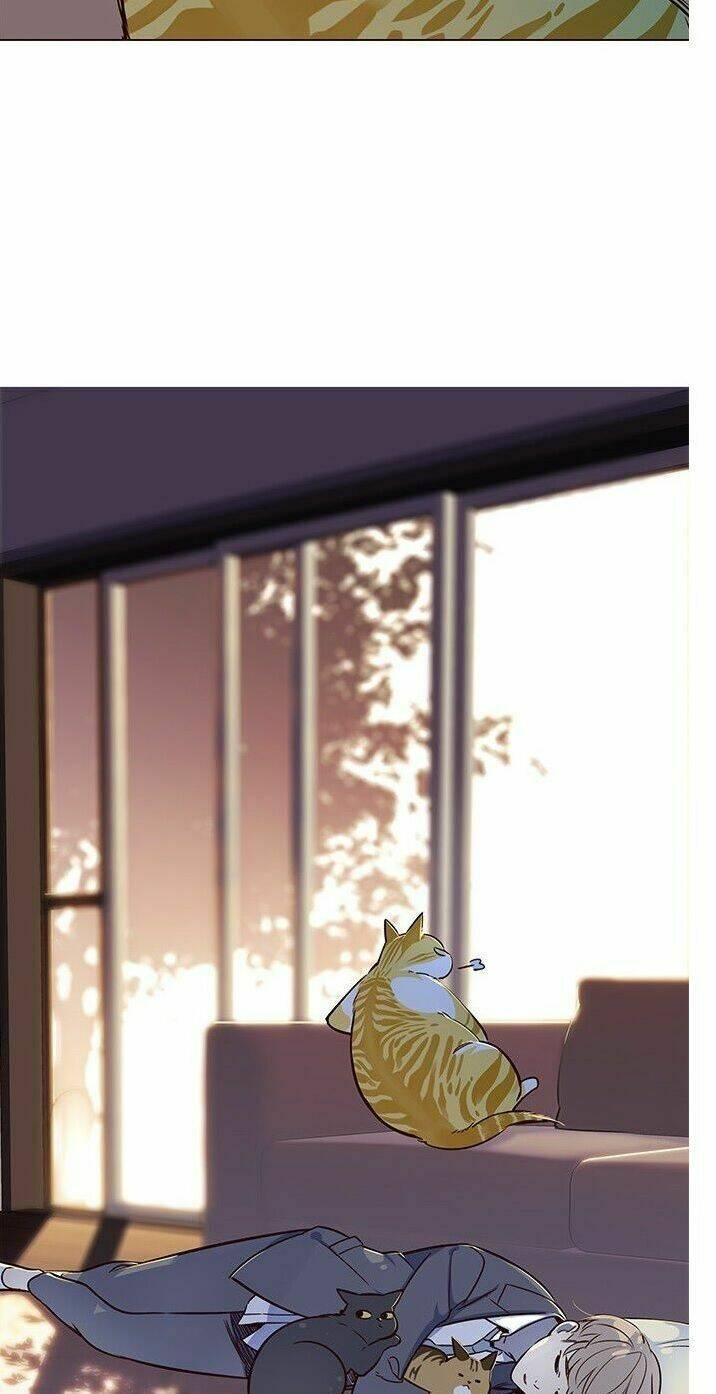 Biến Thân Thành Mèo Chapter 7 - Trang 2