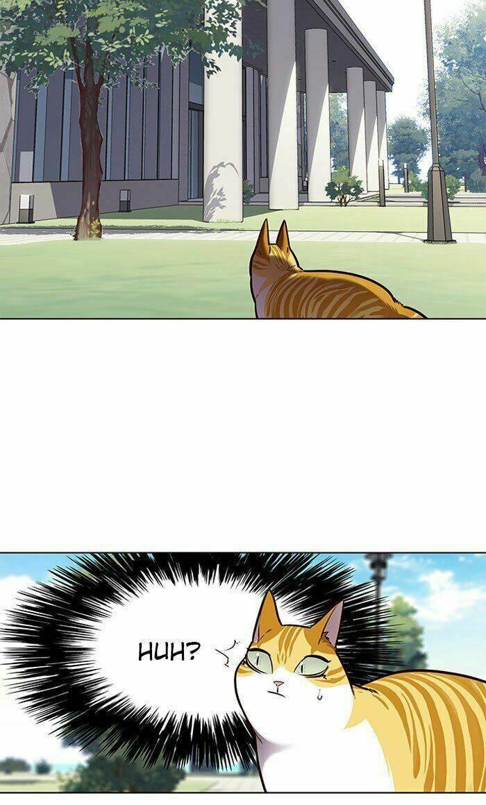 Biến Thân Thành Mèo Chapter 71 - Trang 2