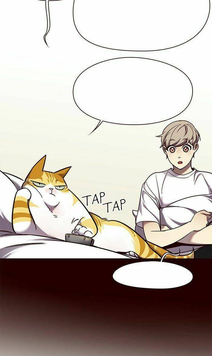 Biến Thân Thành Mèo Chapter 75 - Trang 2