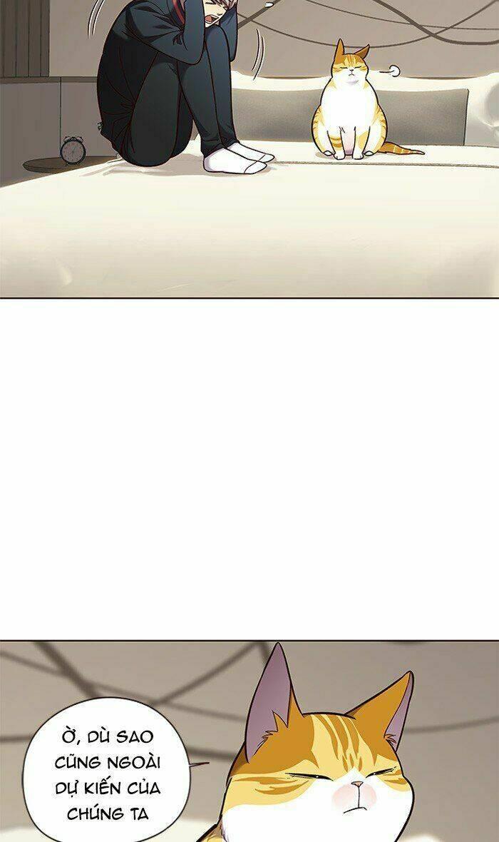 Biến Thân Thành Mèo Chapter 82 - Trang 2
