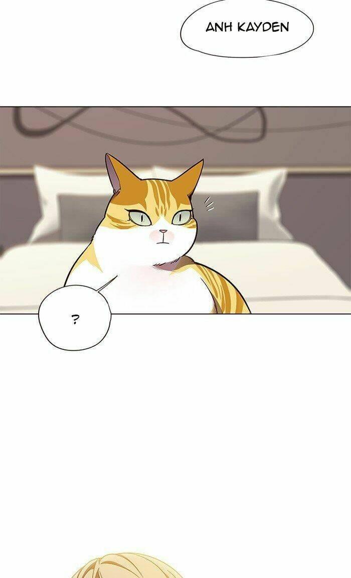 Biến Thân Thành Mèo Chapter 82 - Trang 2