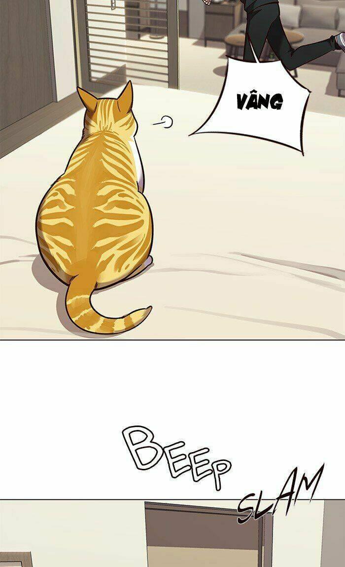 Biến Thân Thành Mèo Chapter 82 - Trang 2