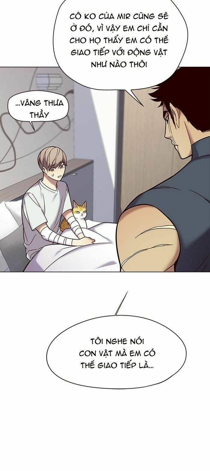 Biến Thân Thành Mèo Chapter 89 - Trang 2