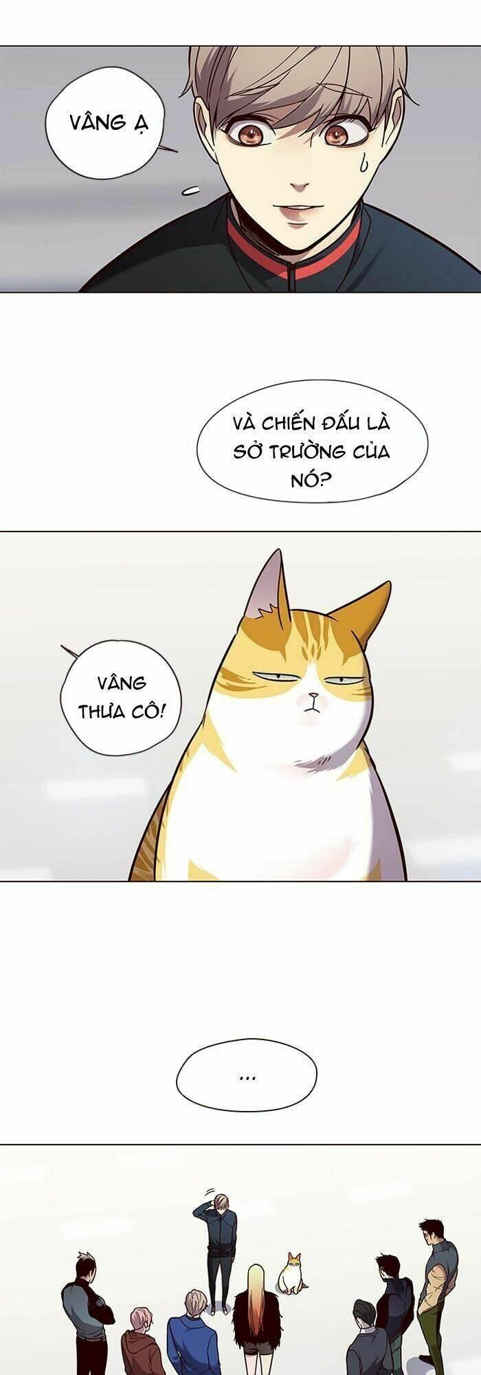 Biến Thân Thành Mèo Chapter 89 - Trang 2