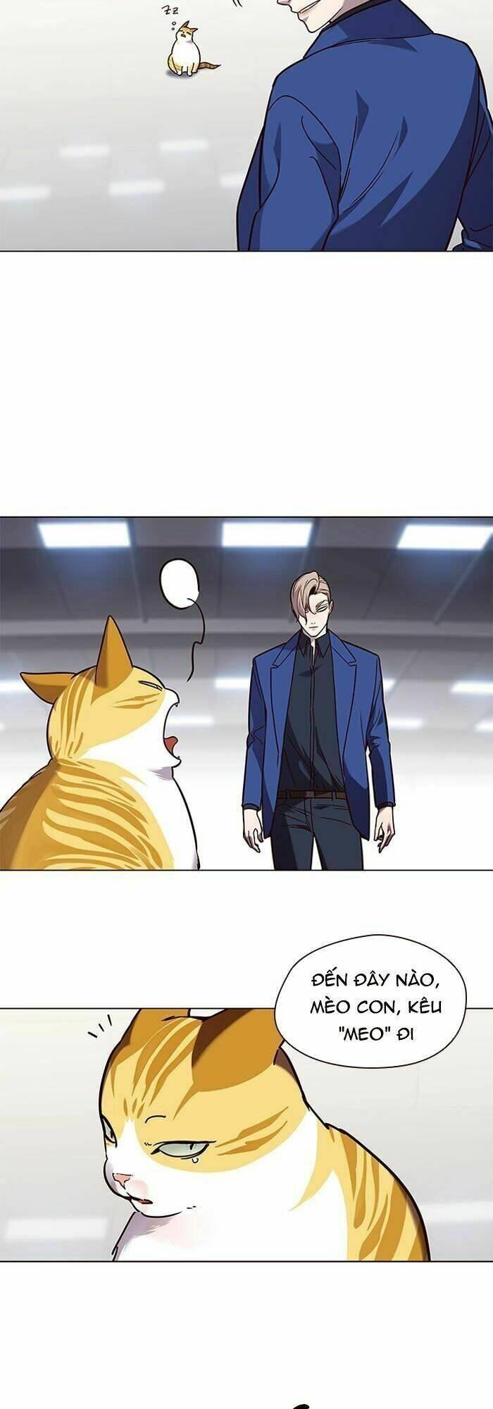 Biến Thân Thành Mèo Chapter 89 - Trang 2