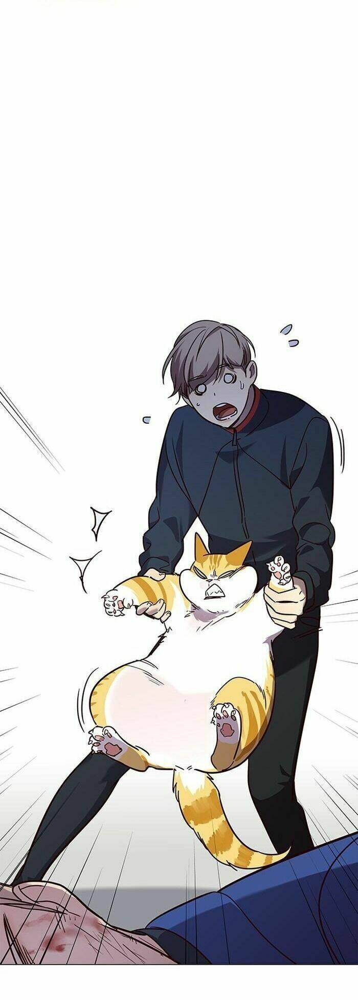 Biến Thân Thành Mèo Chapter 89 - Trang 2