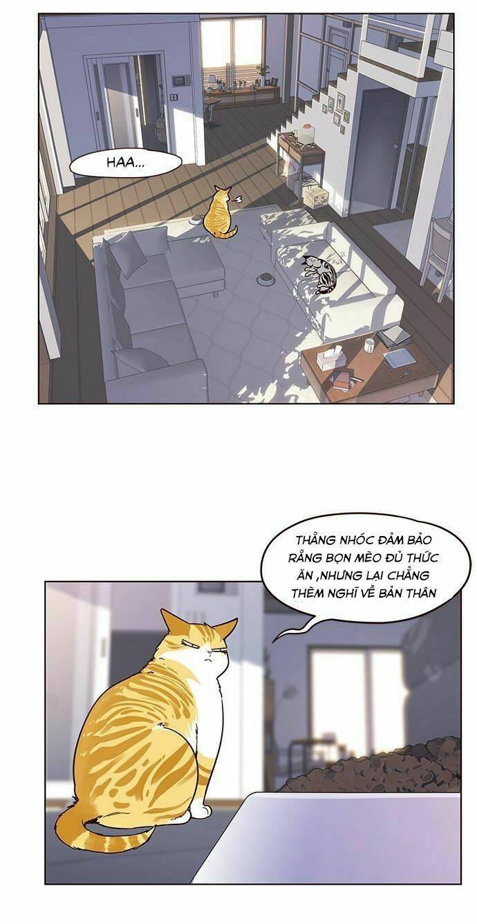 Biến Thân Thành Mèo Chapter 9 - Trang 2