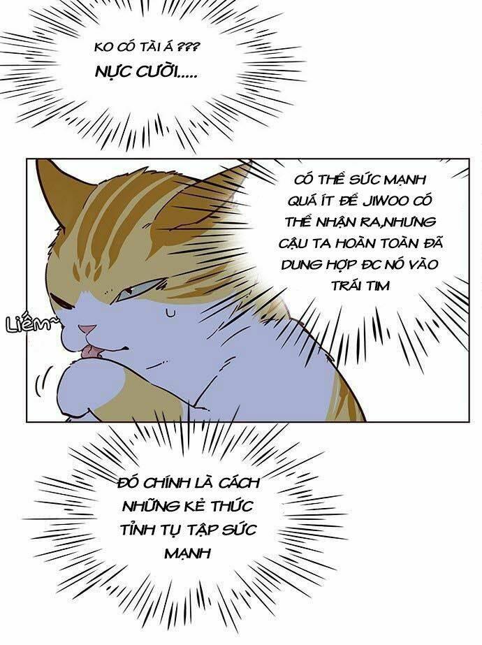Biến Thân Thành Mèo Chapter 9 - Trang 2