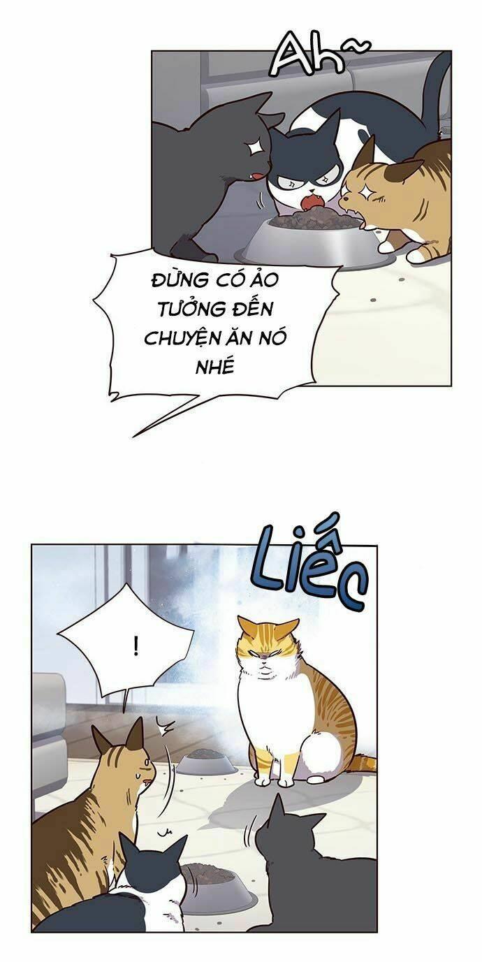 Biến Thân Thành Mèo Chapter 9 - Trang 2