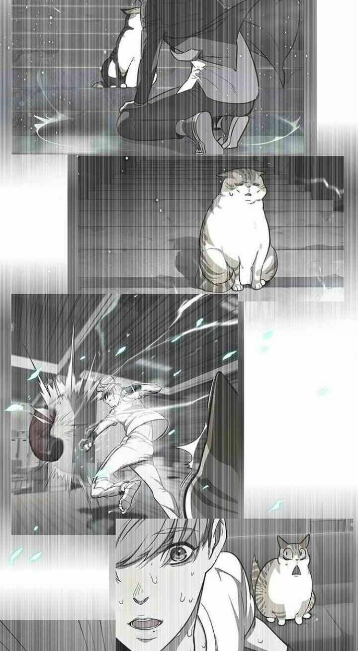 Biến Thân Thành Mèo Chapter 93 - Trang 2