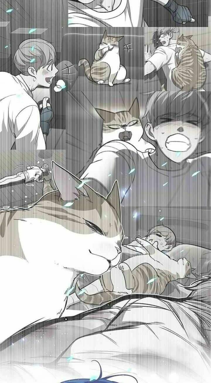 Biến Thân Thành Mèo Chapter 93 - Trang 2